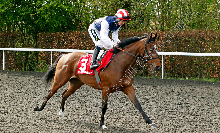 Les-Bleus-0001 
 LES BLEUS (George Rooke)
Kempton 6 Apr 2024 - Pic Steven Cargill / Racingfotos.com