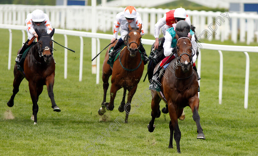 Calyx-0004 
 CALYX (Frankie Dettori) wins The Merriebelle Stable Commonwealth Cup Trial Stakes
Ascot 1 May 2019 - Pic Steven Cargill / Racingfotos.com