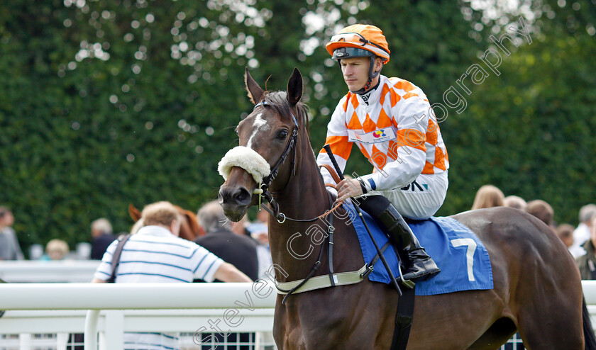 Blazeon-Five-0001 
 BLAZEON FIVE (Richard Kingscote)
Salisbury 12 Aug 2021 - Pic Steven Cargill / Racingfotos.com