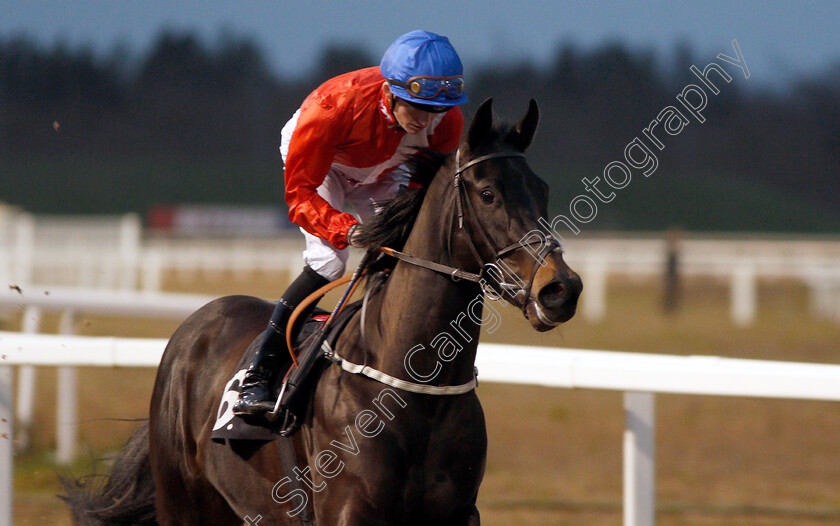 Endowment-0001 
 ENDOWMENT (Rob Hornby) winner of The Bet toteplacepot At totesport.com Novice Stakes
Chelmsford 11 Jan 2020 - Pic Steven Cargill / Racingfotos.com