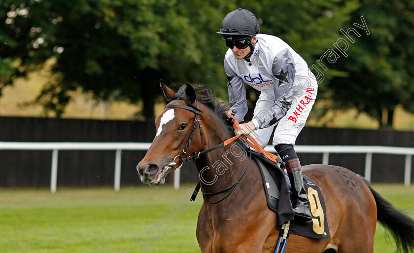 Pretty-Young-Thing-0002 
 PRETTY YOUNG THING (Robert Havlin)
Newmarket 29 Jul 2022 - Pic Steven Cargill / Racingfotos.com