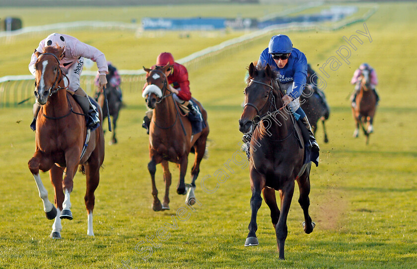 Brundtland-0002 
 BRUNDTLAND (right, William Buick) beats JEREMIAH (left) in The Discover Newmarket Maiden Stakes Newmarket 25 Oct 2017 - Pic Steven Cargill / Racingfotos.com