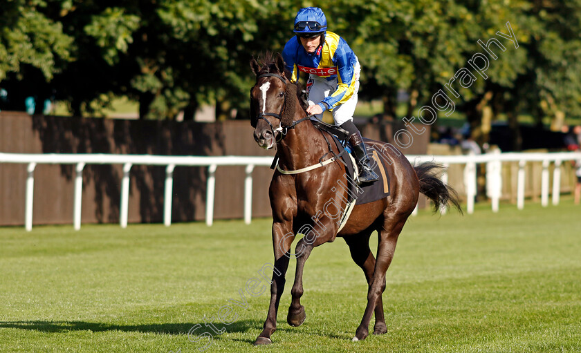 Cable-Rate-0001 
 CABLE RATE (Lewis Edmunds)
Newmarket 9 Aug 2024 - Pic Steven Cargill / Racingfotos.com