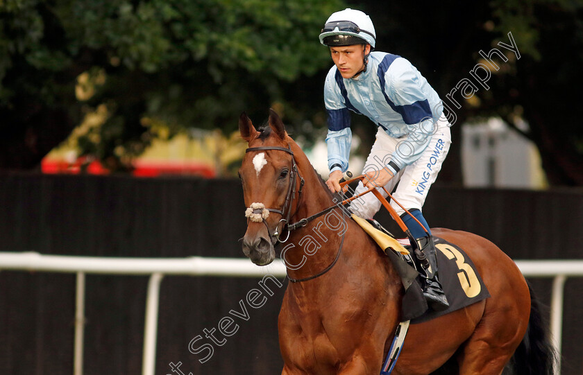 Noble-Run-0003 
 NOBLE RUN (William Carver)
Newmarket 22 Jul 2022 - Pic Steven Cargill / Racingfotos.com