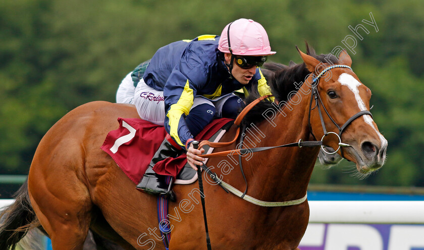 Thewind-Cries-Mary-0002 
 THEWIND CRIES MARY (Callum Rodriguez) wins The Oakmere Homes Supporting Macmillan Fillies Novice Stakes
Haydock 24 May 2024 - Pic Steven Cargill / Racingfotos.com