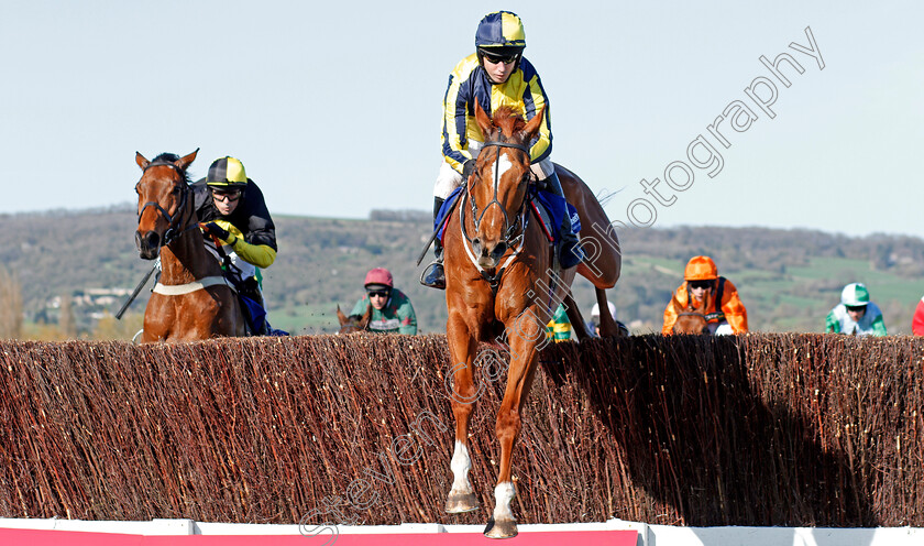 Lovely-Job-0003 
 LOVELY JOB (Noel Fehily) Cheltenham 18 Apr 2018 - Pic Steven Cargill / Racingfotos.com