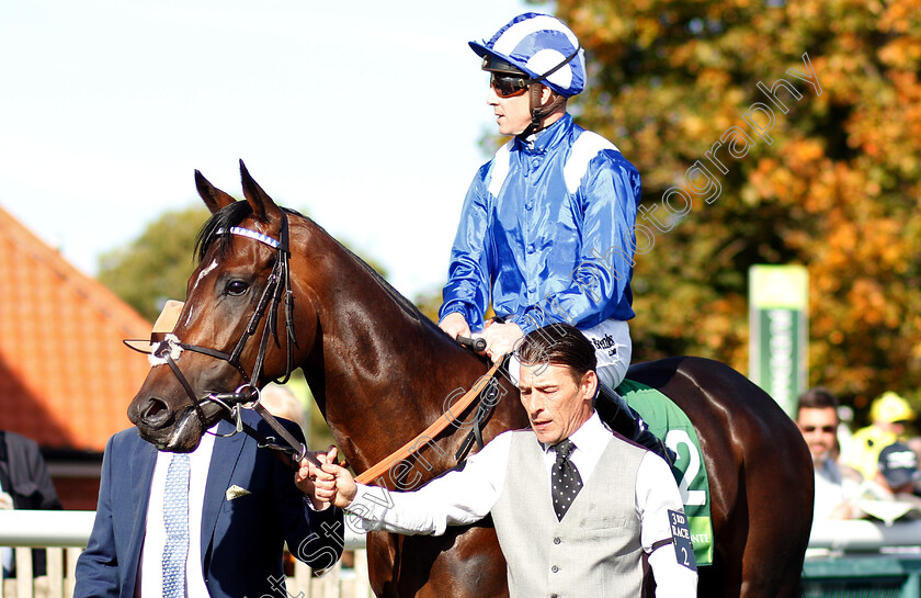 Jash-0001 
 JASH (Jim Crowley)
Newmarket 29 Sep 2018 - Pic Steven Cargill / Racingfotos.com