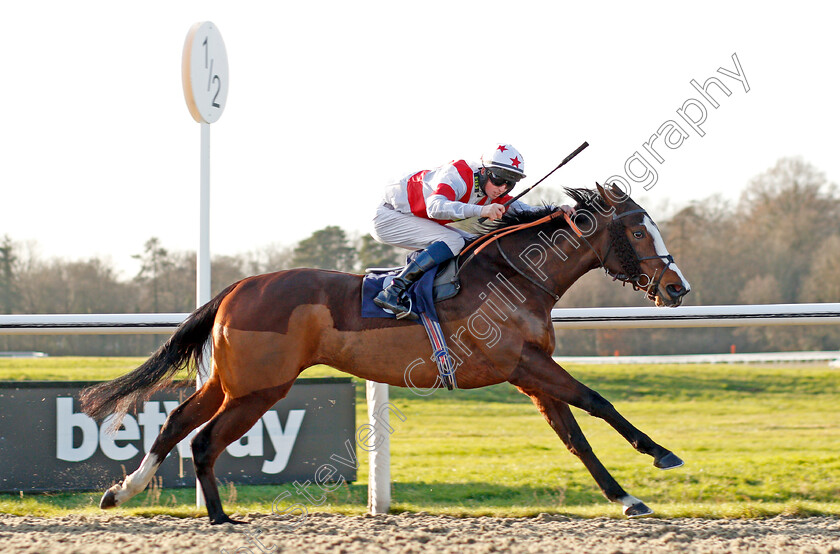 The-Lacemaker-0002 
 THE LACEMAKER (Darragh Keenan) wins The Betyourway At Betway Handicap
Lingfield 9 Dec 2019 - Pic Steven Cargill / Racingfotos.com