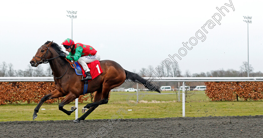 Diligent-Harry-0004 
 DILIGENT HARRY (Adam Kirby) wins The Unibet New Instant Roulette Novice Stakes
Kempton 16 Feb 2021 - Pic Steven Cargill / Racingfotos.com