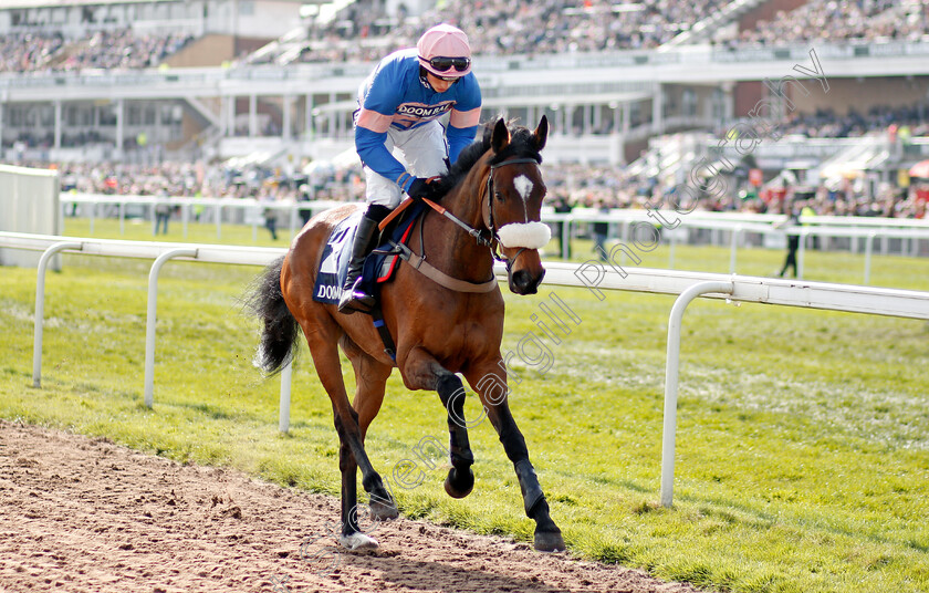 Diego-Du-Charmil-0002 
 DIEGO DU CHARMIL (Harry Cobden) before winning The Doom Bar Maghull Novices Chase Aintree 14 Apr 2018 - Pic Steven Cargill / Racingfotos.com