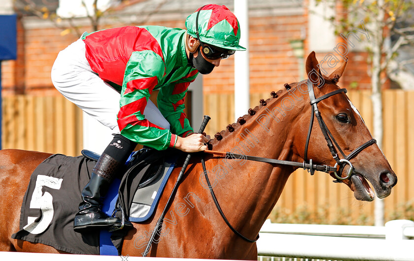 Rewired-0001 
 REWIRED (Jason Watson)
Newbury 18 Sep 2020 - Pic Steven Cargill / Racingfotos.com