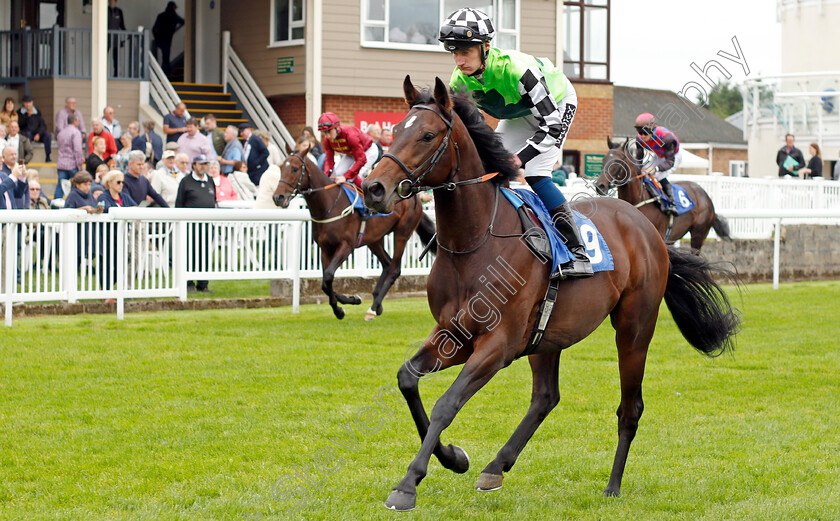 Viadelamore-0001 
 VIADELAMORE (Daniel Muscutt)
Salisbury 2 Sep 2021 - Pic Steven Cargill / Racingfotos.com