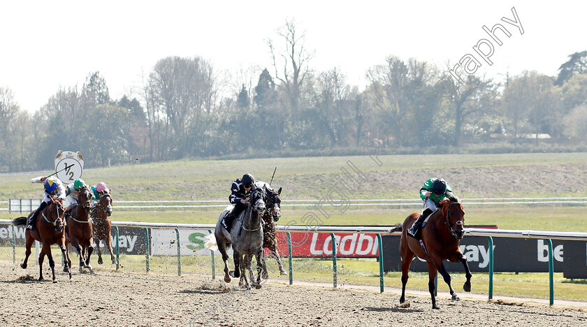 Kachy-0001 
 KACHY (Richard Kingscote) wins The Betway All-Weather Sprint Championships Stakes
Lingfield 19 Apr 2019 - Pic Steven Cargill / Racingfotos.com