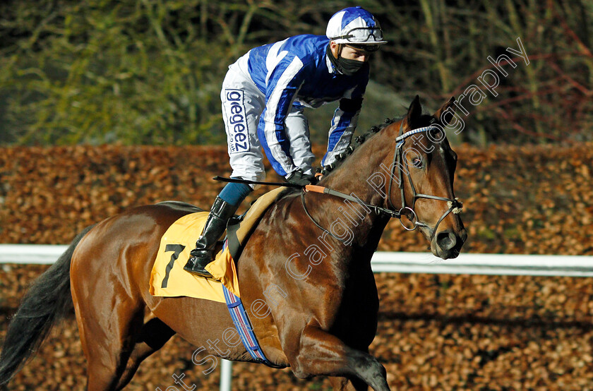 Melody-Of-Life-0001 
 MELODY OF LIFE (David Probert) winner of The Unibet Casino Deposit £10 Get £40 Bonus Novice Stakes Div2
Kempton 13 Jan 2021 - Pic Steven Cargill / Racingfotos.com