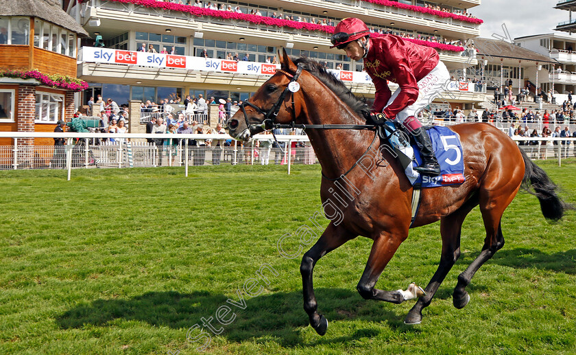 Middle-Earth-0004 
 MIDDLE EARTH (Oisin Murphy) winner of The Sky Bet Melrose Stakes
York 26 Aug 2023 - Pic Steven Cargill / Racingfotos.com