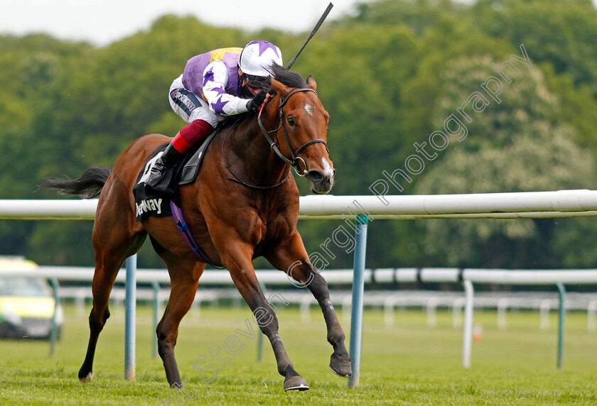 Kinross-0005 
 KINROSS (Frankie Dettori) wins The Betway John Of Gaunt Stakes
Haydock 29 May 2021 - Pic Steven Cargill / Racingfotos.com