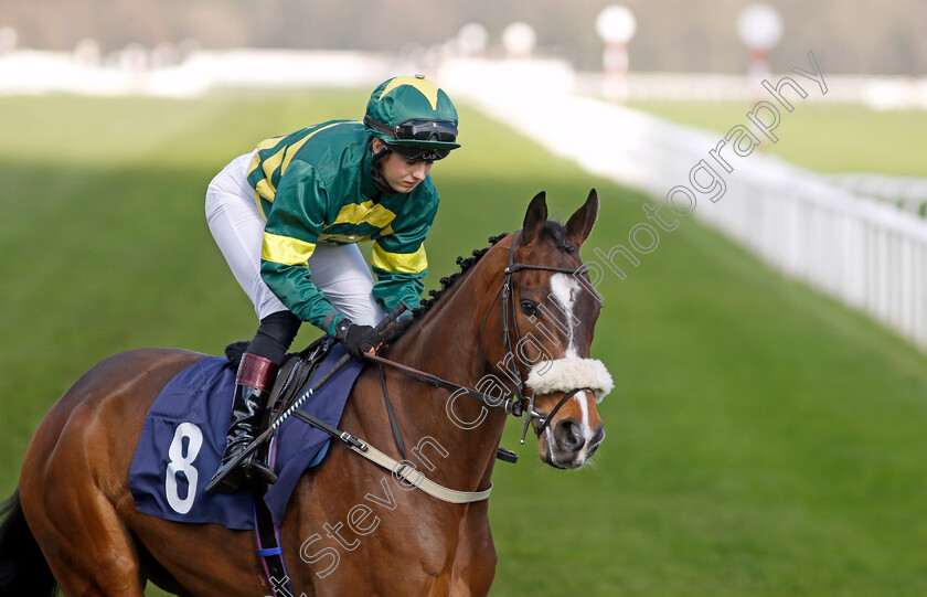 Bucephalus-0006 
 BUCEPHALUS (Rose Dawes) winner of The Injured Jockeys Fund Handicap
Doncaster 2 Apr 2023 - Pic Steven Cargill / Racingfotos.com