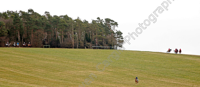 Newmarket-0019 
 Strings of racehorses walk back to their stables after exercising on Warren Hill Newmarket 23 Mar 2018 - Pic Steven Cargill / Racingfotos.com