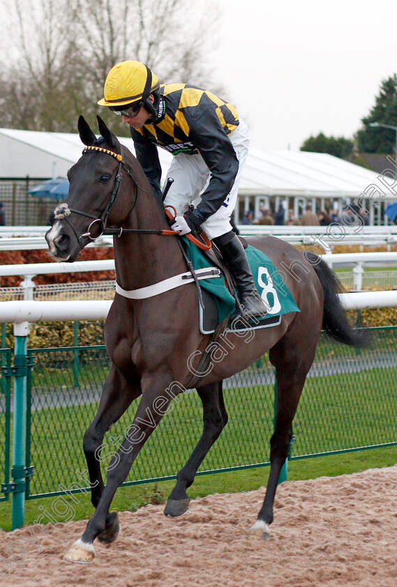 Fox s-Socks-0001 
 FOX'S SOCKS (Jeremiah McGrath)
Warwick 12 Dec 2019 - Pic Steven Cargill / Racingfotos.com