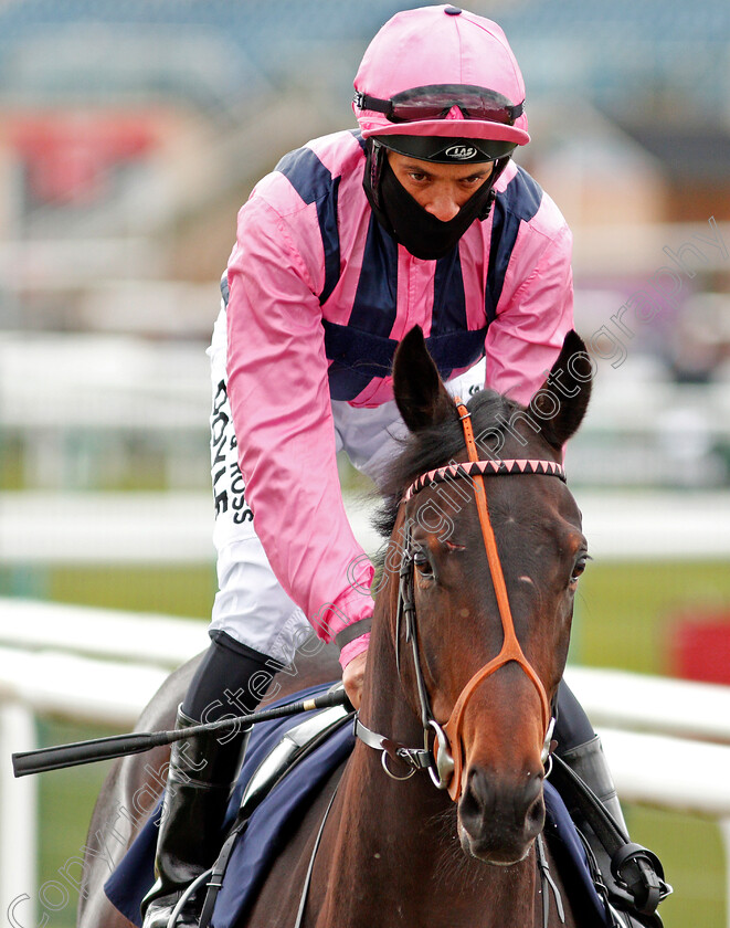 Fury-0001 
 FURY (Sean Levey)
Doncaster 28 Mar 2021 - Pic Steven Cargill / Racingfotos.com