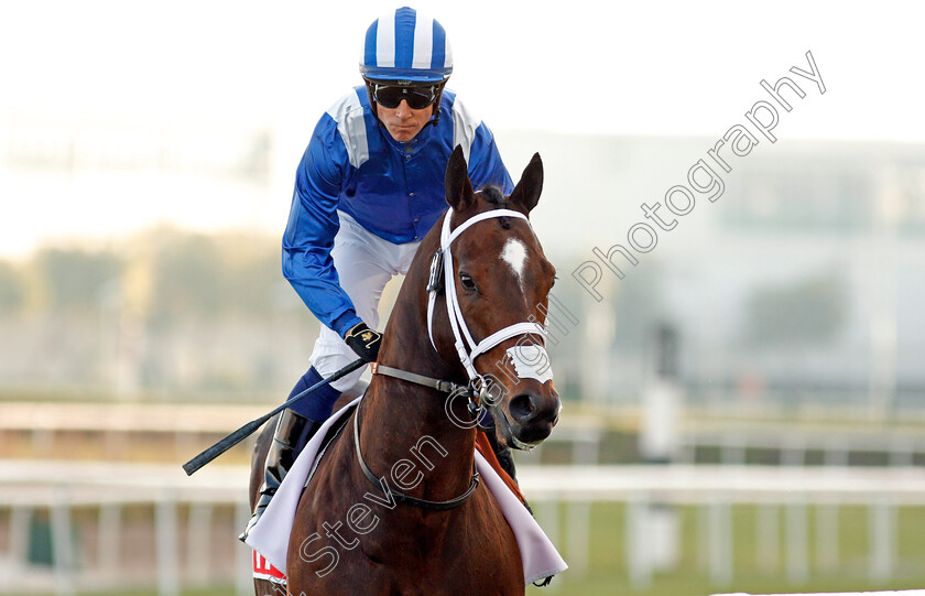 Ekhtiyaar-0002 
 EKHTIYAAR (Jim Crowley)
Meydan 7 Mar 2020 - Pic Steven Cargill / Racingfotos.com