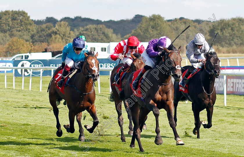 Benevento-0002 
 BENEVENTO (David Egan) wins The Betfred Flying Scotsman Stakes
Doncaster 13 Sep 2024 - Pic Steven Cargill / Racingfotos.com