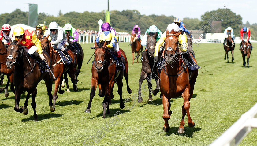 Ostilio-0002 
 OSTILIO (right, Silvestre De Sousa) beats CURIOSITY (left) in The Britannia Stakes
Royal Ascot 21 Jun 2018 - Pic Steven Cargill / Racingfotos.com