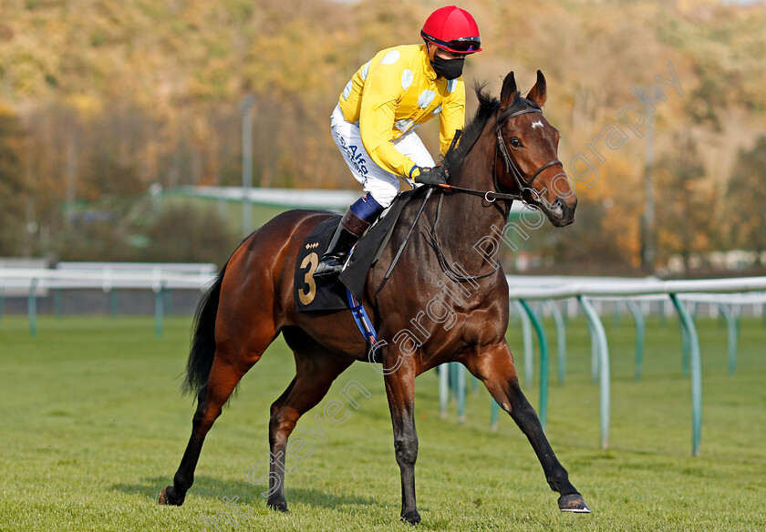 Cool-Leader-0001 
 COOL LEADER (Jim Crowley)
Nottingham 4 Nov 2020 - Pic Steven Cargill / Racingfotos.com