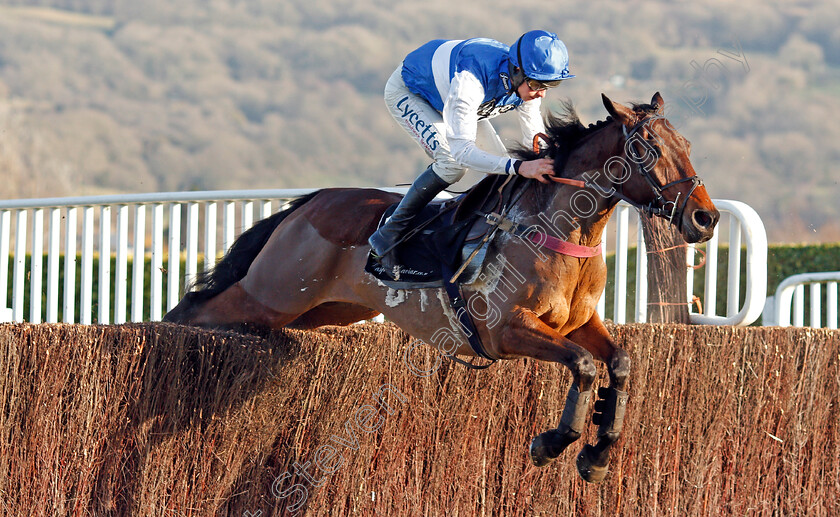 Cepage-0001 
 CEPAGE (Charlie Deutsch)
Cheltenham 14 Dec 2019 - Pic Steven Cargill / Racingfotos.com