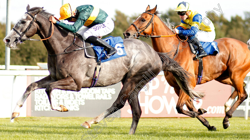 Chatham-House-0004 
 CHATHAM HOUSE (Sean Levey) wins The Mick Connolly Memorial Handicap
Leicester 10 Sep 2019 - Pic Steven Cargill / Racingfotos.com