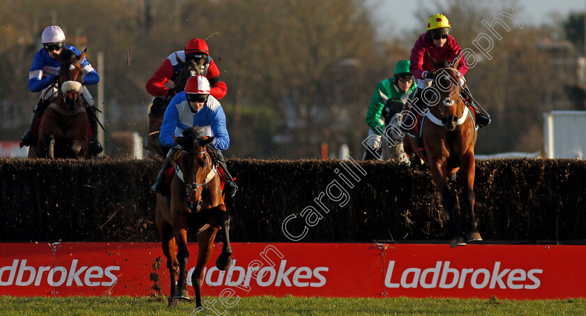 Ideal-Des-Bordes-and-Bourbali-0001 
 IDEAL DES BORDES (right, Nico de Boinville) with BOURBALI (centre)
Kempton 22 Feb 2025 - Pic Steven Cargill / Racingfotos.com