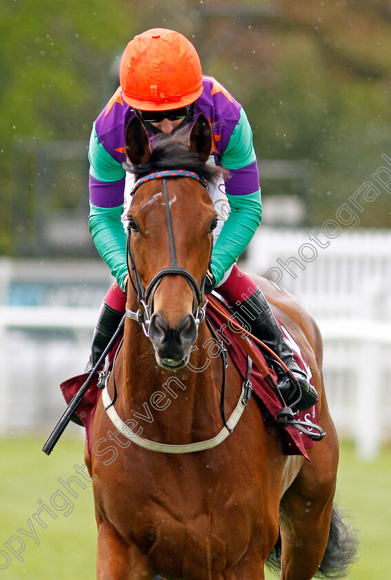 Lady-Bowthorpe-0002 
 LADY BOWTHORPE (Oisin Murphy)
Newbury 15 May 2021 - Pic Steven Cargill / Racingfotos.com