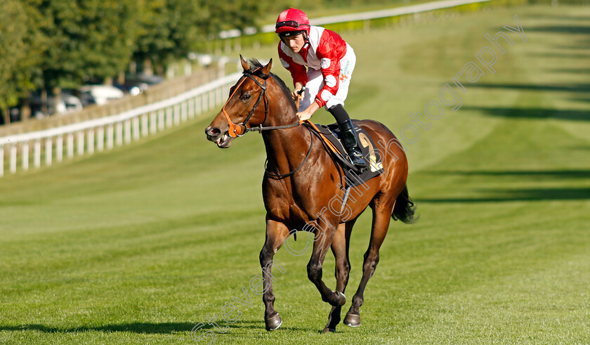 Captain-Cess-0001 
 CAPTAIN CESS (Finley Marsh)
Newmarket 9 Aug 2024 - Pic Steven Cargill / Racingfotos.com