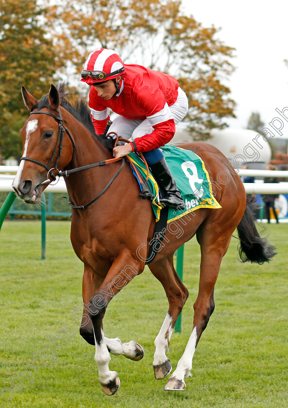 Queen-Daenerys-0001 
 QUEEN DAENERYS (William Buick)
Newmarket 11 Oct 2019 - Pic Steven Cargill / Racingfotos.com