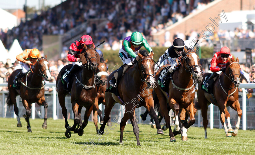 Don-Armado-0002 
 DON ARMADO (centre, Harry Bentley) beats ALFIE SOLOMONS (2nd right) and BIG ACE (left) in The Unibet Nursery
Goodwood 3 Aug 2018 - Pic Steven Cargill / Racingfotos.com