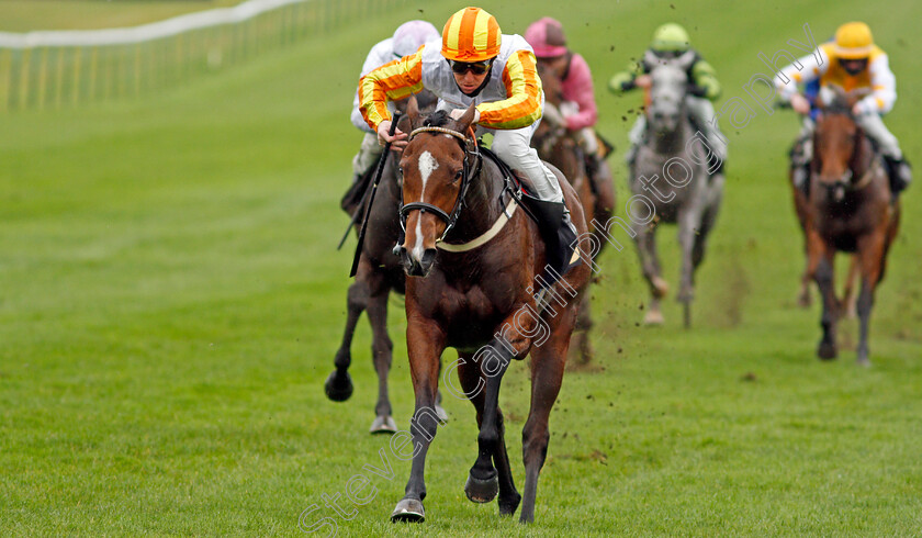 Entwine-0004 
 ENTWINE (Pat Cosgrave) wins The Watch And Bet At Mansionbet Fillies Novice Median Auction Stakes
Newmarket 21 Oct 2020 - Pic Steven Cargill / Racingfotos.com