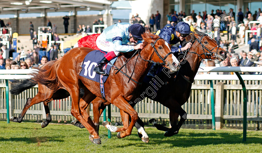 Timpani-0003 
 TIMPANI (left, Frankie Dettori) beats LEFT ALONE (right) in The Rewards4racing Fillies Novice Median Auction Stakes Div2 Newmarket 25 Oct 2017 - Pic Steven Cargill / Racingfotos.com