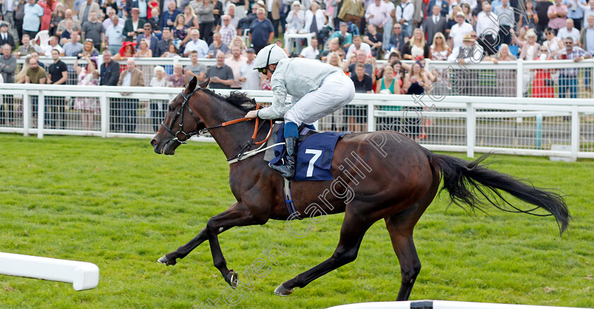 Forest-Falcon-0006 
 FOREST FALCON (William Buick) wins The Sky Sports Racing Sky 415 Handicap
Yarmouth 16 Sep 2021 - Pic Steven Cargill / Racingfotos.com