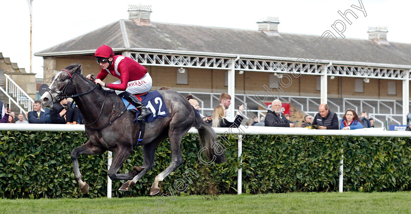 Theoryofeverything-0005 
 THEORYOFEVERYTHING (Robert Havlin) wins The Made In Doncaster St Leger Novice Stakes
Doncaster 2 Apr 2023 - Pic Steven Cargill / Racingfotos.com