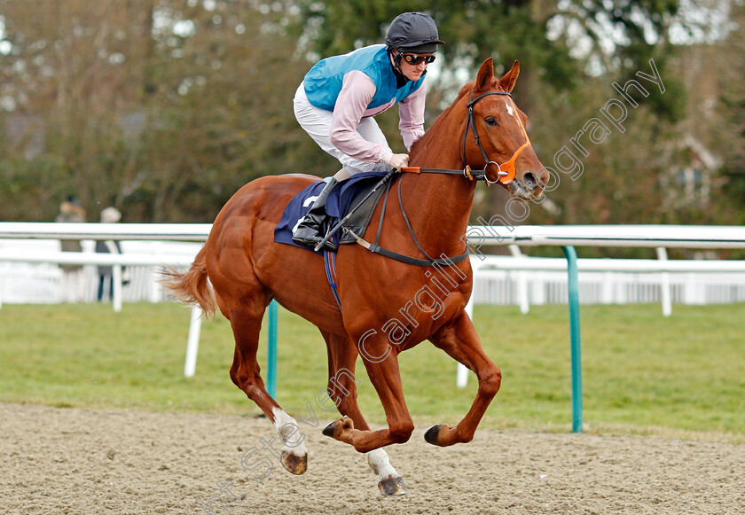 Beggarman-0001 
 BEGGARMAN (Liam Keniry)
Lingfield 4 Jan 2020 - Pic Steven Cargill / Racingfotos.com