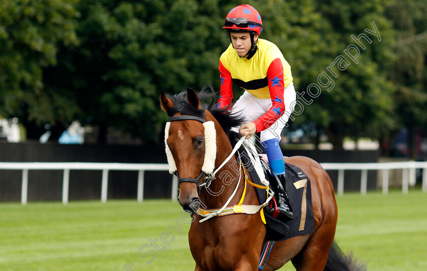 Magnificentforce-0002 
 MAGNIFICENTFORCE (Tommie Jakes)
Newmarket 28 Jul 2023 - Pic Steven Cargill / Racingfotos.com