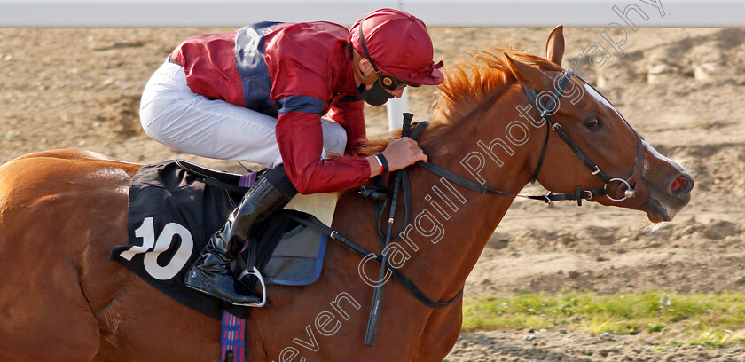 Sheila-0006 
 SHEILA (James Doyle) wins The tote.co.uk Free Streaming Every Uk Race Handicap Div2
Chelmsford 20 Sep 2020 - Pic Steven Cargill / Racingfotos.com