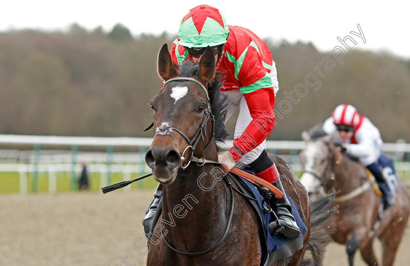 Cable-Speed-0010 
 CABLE SPEED (Ben Curtis) wins The Ladbrokes Where The Nation Plays Novice Median Auction Stakes Div1
Lingfield 4 Jan 2020 - Pic Steven Cargill / Racingfotos.com