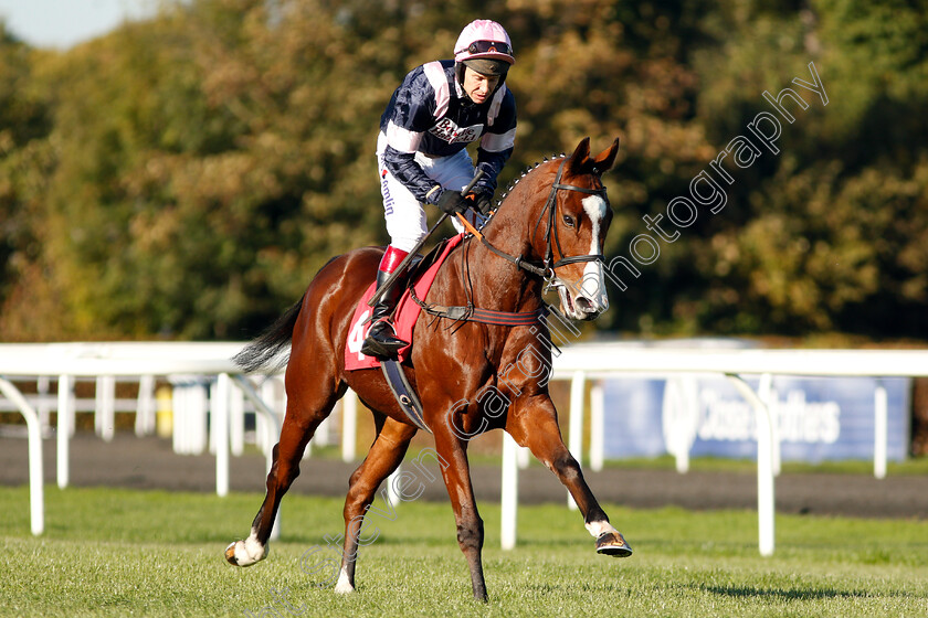 Leapaway-0002 
 LEAPAWAY (Richard Johnson)
Kempton 21 Oct 2018 - Pic Steven Cargill / Racingfotos.com