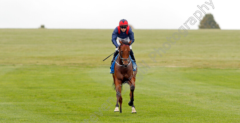 Twilight-Jet-0008 
 TWILIGHT JET (L F Roche) winner of The Newmarket Academy Godolphin Beacon Project Cornwallis Stakes
Newmarket 8 Oct 2021 - Pic Steven Cargill / Racingfotos.com