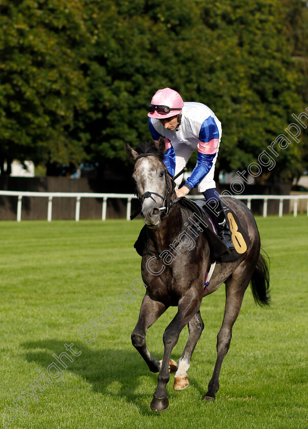 Mart-0001 
 MART (Hector Crouch)
Newmarket 28 Jul 2023 - Pic Steven Cargill / Racingfotos.com