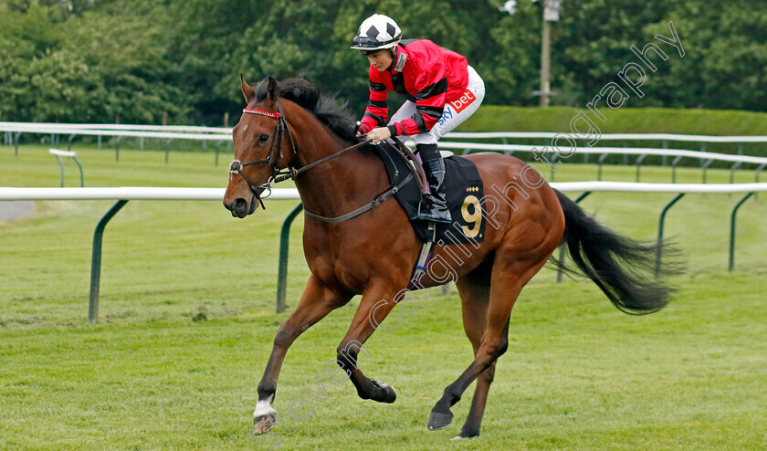 King-Of-The-Jungle-0001 
 KING OF THE JUNGLE (Joanna Mason)
Nottingham 30 May 2023 - Pic Steven Cargill / Racingfotos.com