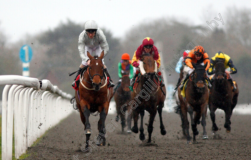 Matterhorn-0006 
 MATTERHORN (Joe Fanning) wins The Move Over To Matchbook Handicap
Kempton 6 Mar 2019 - Pic Steven Cargill / Racingfotos.com