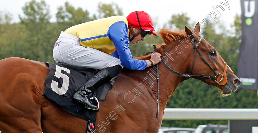 Rhythmic-Intent-0005 
 RHYTHMIC INTENT (James Doyle) wins The Frontier British EBF Maiden Stakes
Newbury 17 Aug 2019 - Pic Steven Cargill / Racingfotos.com