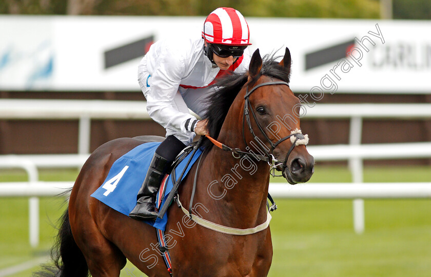 Court-Of-Appeal-0001 
 COURT OF APPEAL (P J McDonald)
Leicester 10 Sep 2019 - Pic Steven Cargill / Racingfotos.com